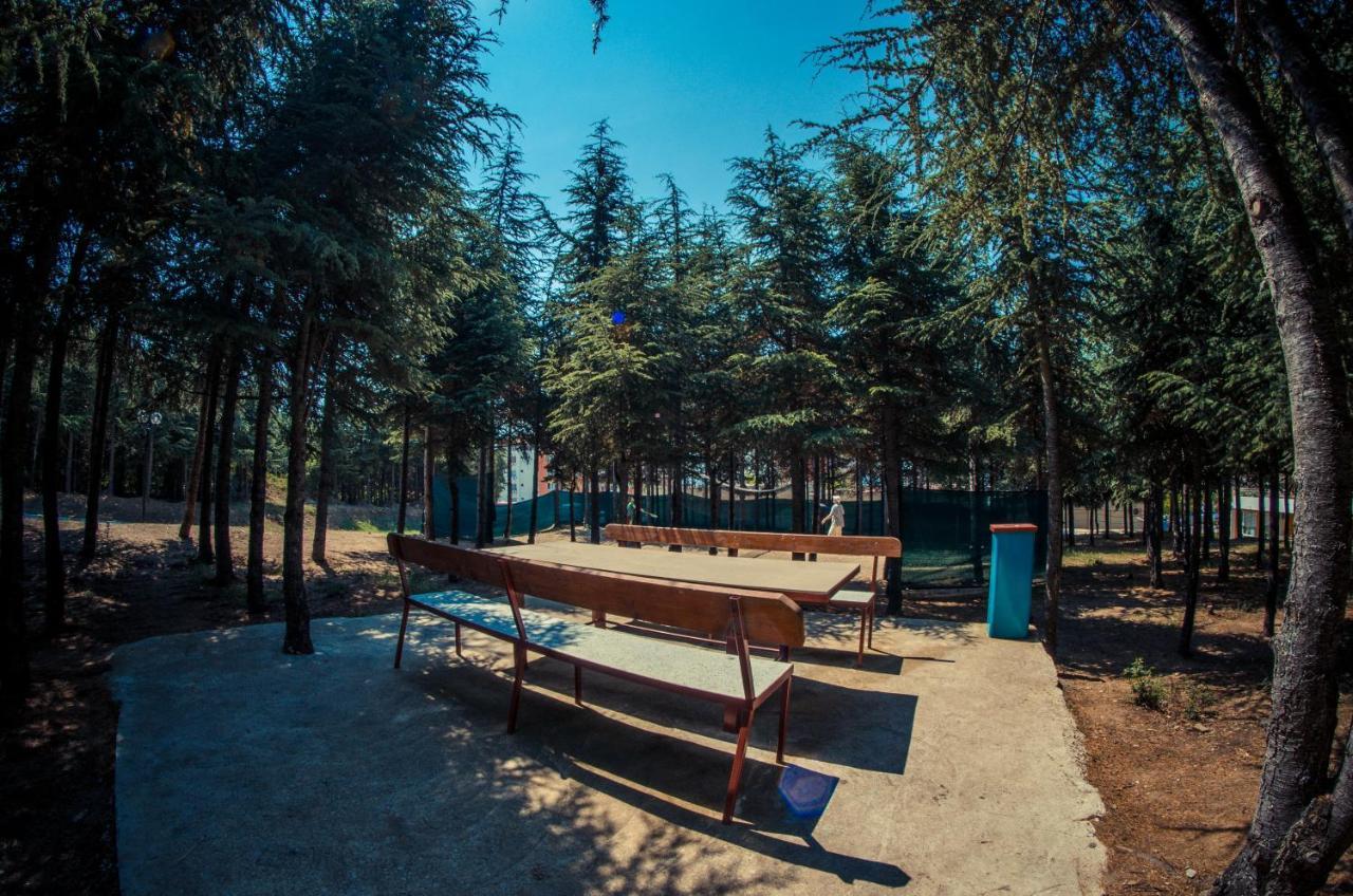 Visit Sunny Beach Sea Apartments Elenite Esterno foto